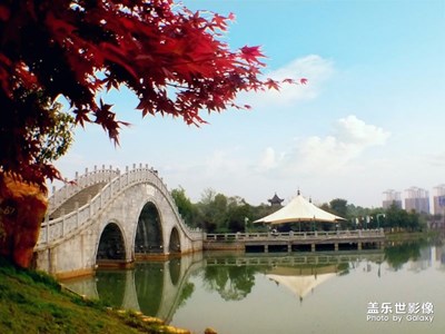公園一角