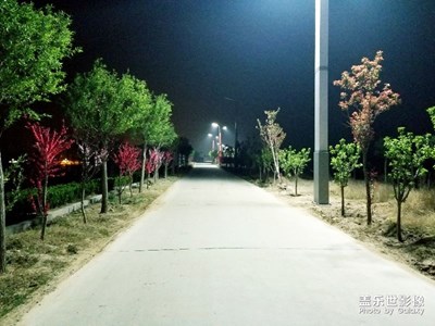 s8+  夜拍