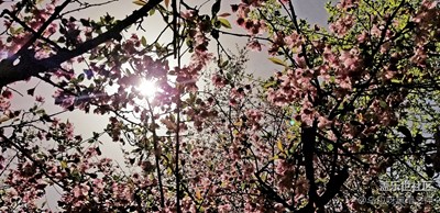 甘肅隴南金徽酒酒廠