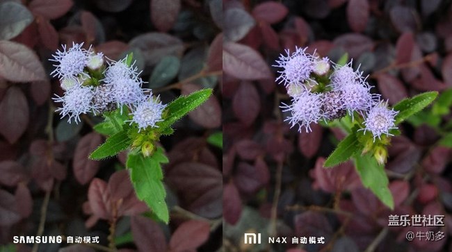 周日上午的樹(shù)木園之旅 談?wù)勛钚翿C3固件下的相機(jī)一點(diǎn)