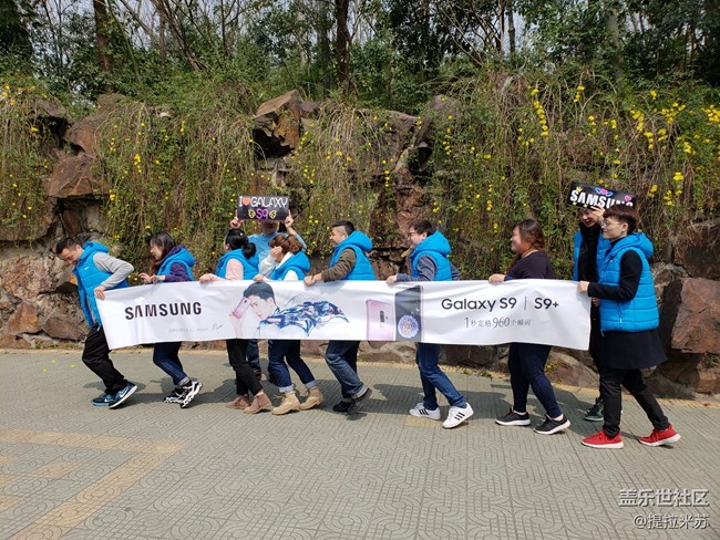 春風十里，“9”等你來-上海分沈彧小區(qū)逢“9”必贏隊