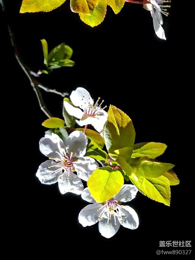 【朋友圈里的潛在客戶】+【山東分公司淄博小區(qū)SMC李文】