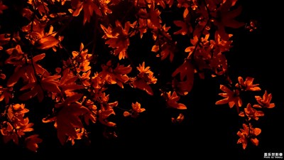 清明時(shí)節(jié)