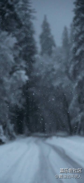 每天上幾張壁紙總有一款是你想要的