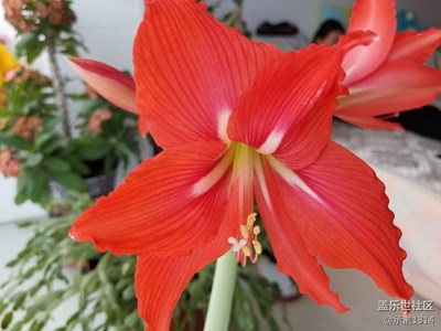 來著三星S8+拍攝