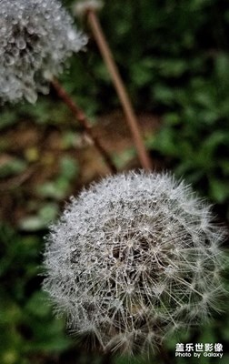 微觀視覺的風(fēng)景