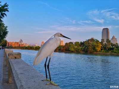蓋樂世影像周賽第51期—— 留住記憶的照片