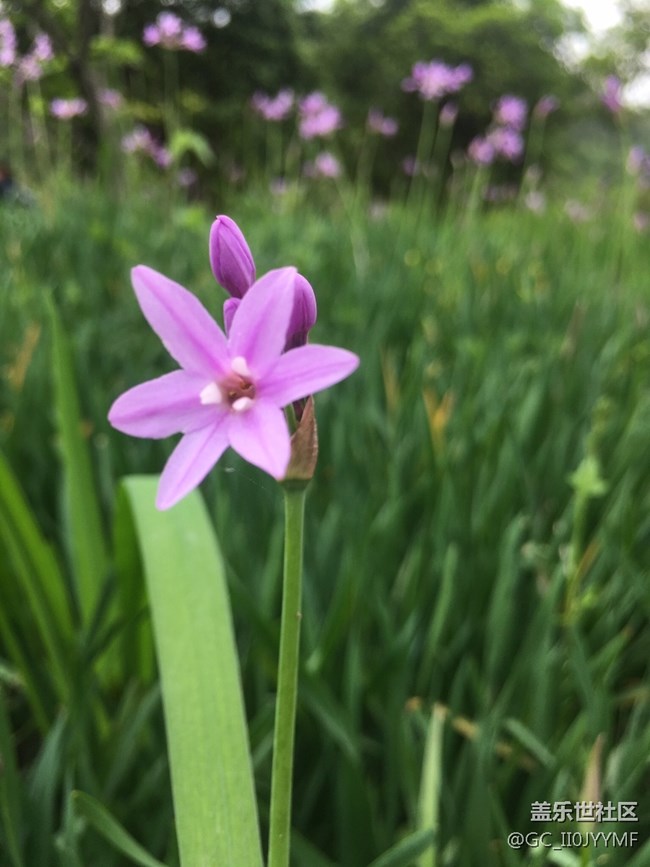 貴州分公司貴陽(yáng)區(qū)域王彤銷售案例分享