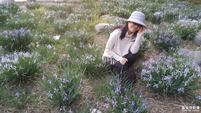 花為美