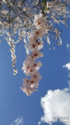 留住記憶的照片