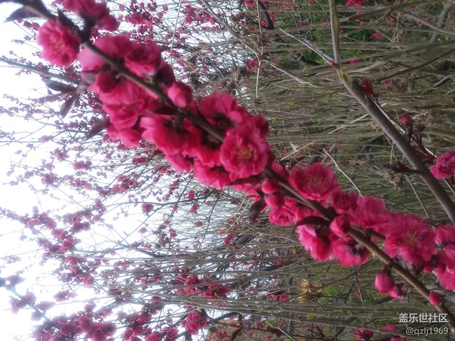 C7在經(jīng)歷最近一次系統(tǒng)更新后，感覺拍照優(yōu)化了