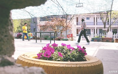 留住記憶的照片