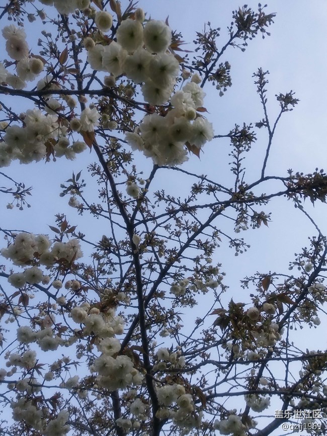 C7在經(jīng)歷最近一次系統(tǒng)更新后，感覺拍照優(yōu)化了