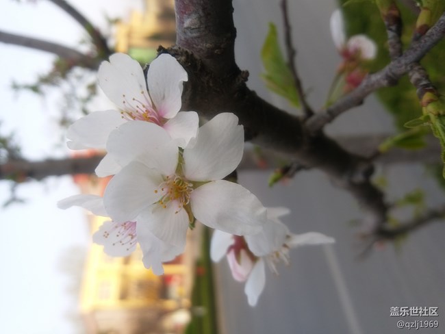 C7在經(jīng)歷最近一次系統(tǒng)更新后，感覺拍照優(yōu)化了