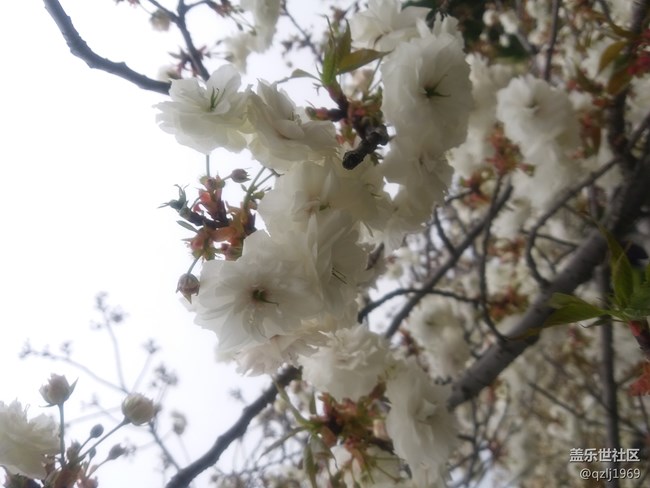 C7在經(jīng)歷最近一次系統(tǒng)更新后，感覺拍照優(yōu)化了