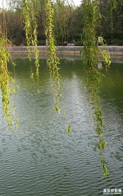 碧波蕩漾