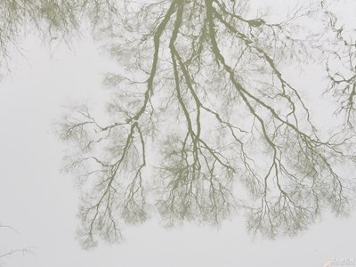 留住記憶的照片