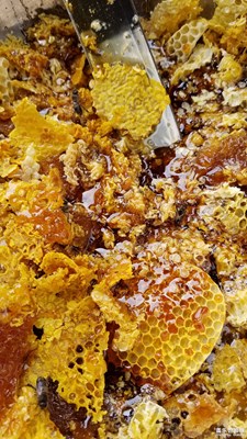 正宗中華蜂蜂蜜。。。