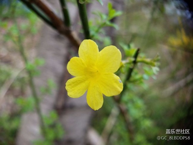 人間最美四月天，莫負(fù)春光，不負(fù)韶華！小七隨拍
