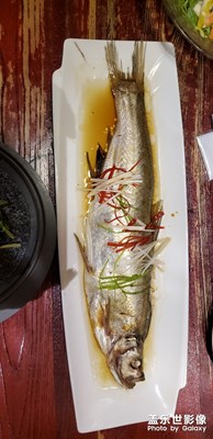 半條魚