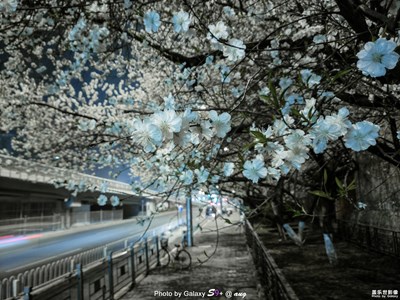 蓋樂(lè)世S9+ 繁花