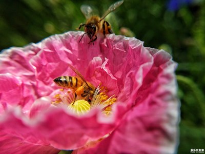 春日暖陽(yáng)下的律動(dòng)