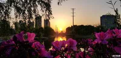 水中樓，樓邊水，不一樣的高樓林立(二)