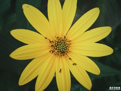 【拍，才知道，世間有多美】