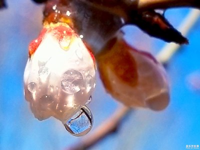 迎來(lái)春色！