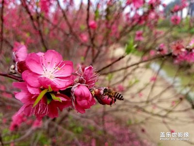 準(zhǔn)備換機(jī)，清內(nèi)存時(shí)發(fā)現(xiàn)的（下次發(fā)貼估計(jì)是Galaxy s9了）