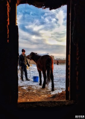 我的哈薩克族親戚