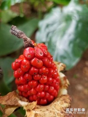 深圳某地，