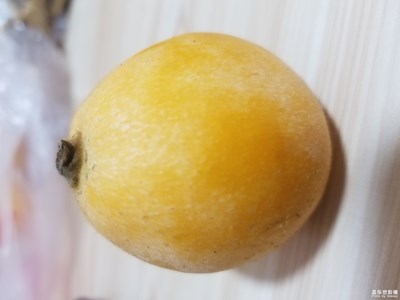 【五一去哪玩】天下名山-樂山+峨眉+宜賓4日游