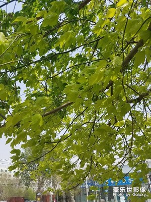 【五一去哪玩】出游