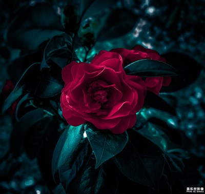 【中國(guó)最美瞬間】kingwae作品：《濱江大道》PART1 [10P]