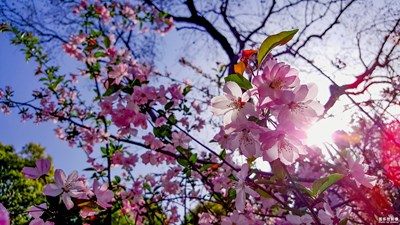 【中國(guó)最美瞬間】kingwae作品：《濱江大道》PART2 [10P]