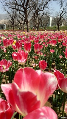 【中國最美瞬間】黃河明珠劉家峽