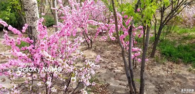 最美相機(jī)