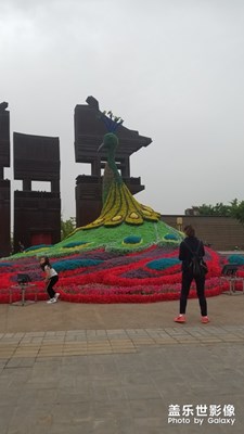 【中國最美瞬間】+大明宮遺址