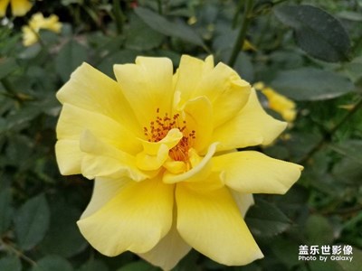 【五一去哪玩】