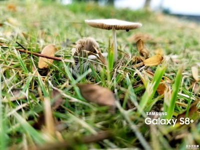 這樣拍能上熱門嗎？