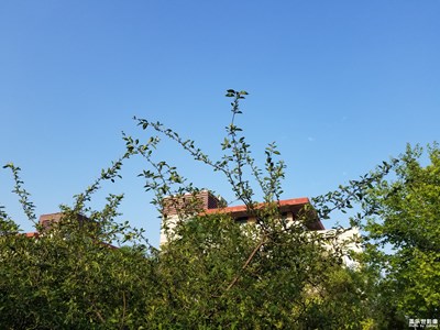 天氣不錯隨拍三張照片