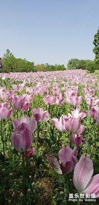 【中國(guó)最美瞬間】＋立夏