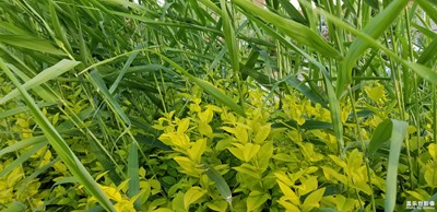 【我的手機(jī)在說話】+在路上