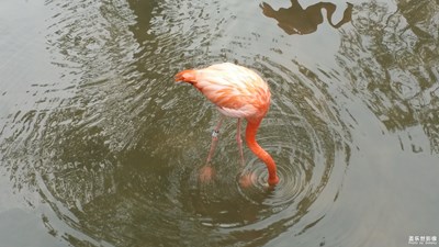 【中國(guó)最美瞬間】+精彩無(wú)處不在