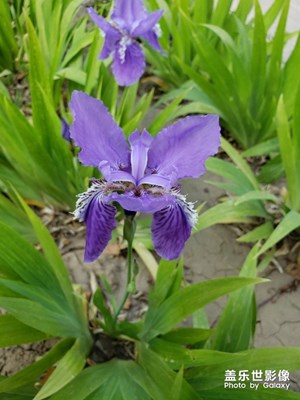 【中國最美瞬間】+門前那一抹色彩