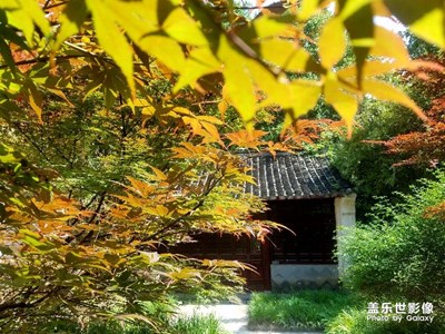 【中國(guó)最美瞬間】+春意央然