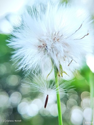 【中國最美瞬間】一些亂拍的圖2