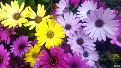 【我的手機(jī)在說話】+生活