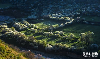 【中國(guó)最美瞬間】+山花燦漫《大西溝》